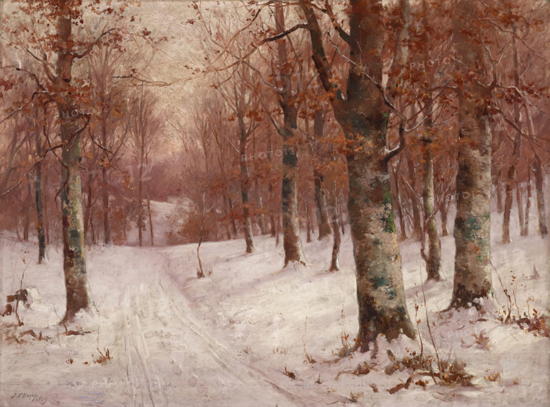 Woods in Winter, 1903. Creator: John Elwood Bundy.