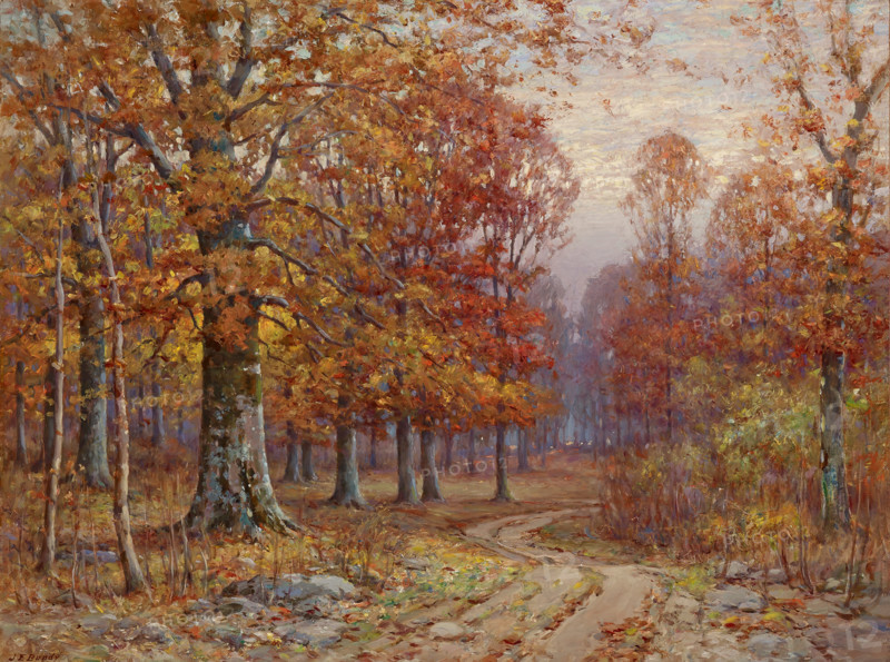 Woods Interior, date unknown. Creator: John Elwood Bundy.