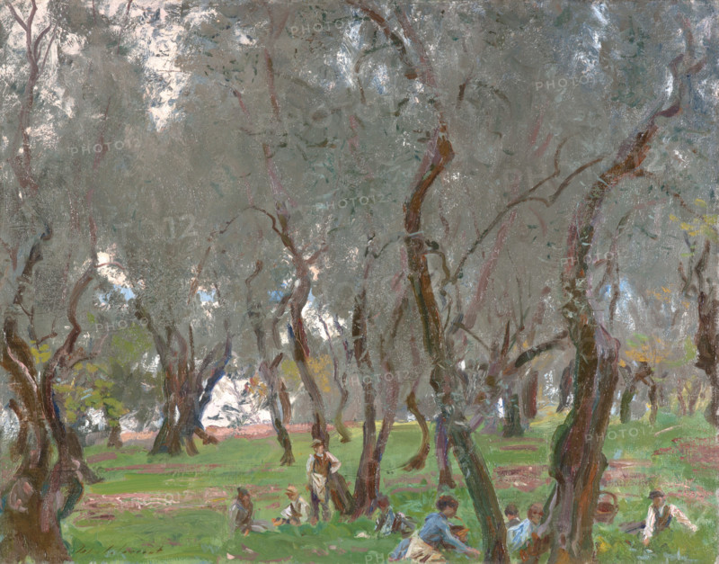 The Olive Grove, about 1910. Creator: John Singer Sargent.
