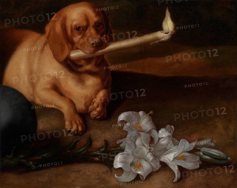 Dog with a Candle and Lilies, about 1660s. Creator: Juan de Pareja.