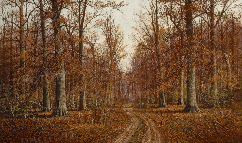 Beech Trees, date unknown. Creator: William M Snyder.