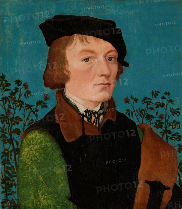 Portrait of a Man in Front of a Rose Hedge, 1512-1513. Creator: Hans Baldung.