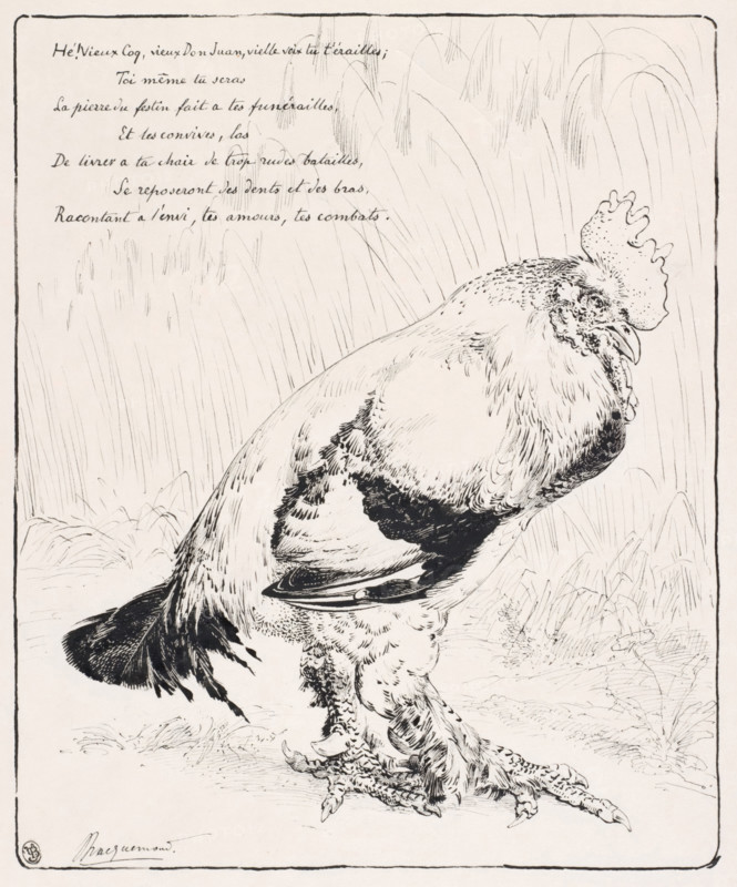 Le Coq (The Cock), 1882. Creator: Felix Bracquemond.