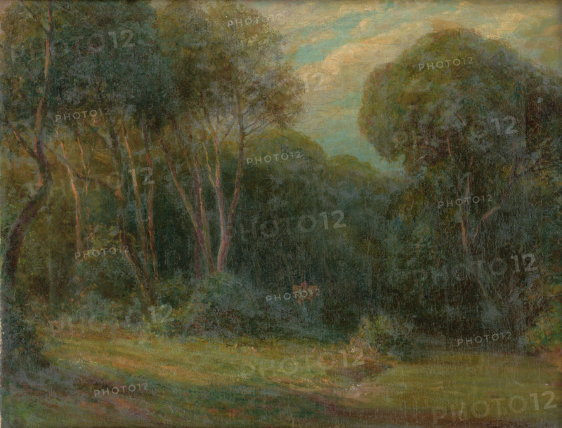 The Edge Of The Forest, 1908. Creator: Ludovit Cordak.