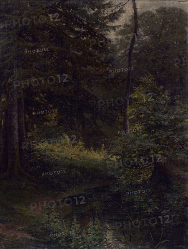 Inside the Forest, 1896. Creator: Ludovit Cordak.