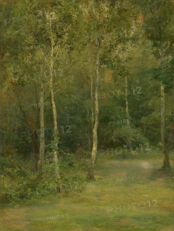 Wooded Landscape with Little Birches, 1894-1896. Creator: Ludovit Cordak.