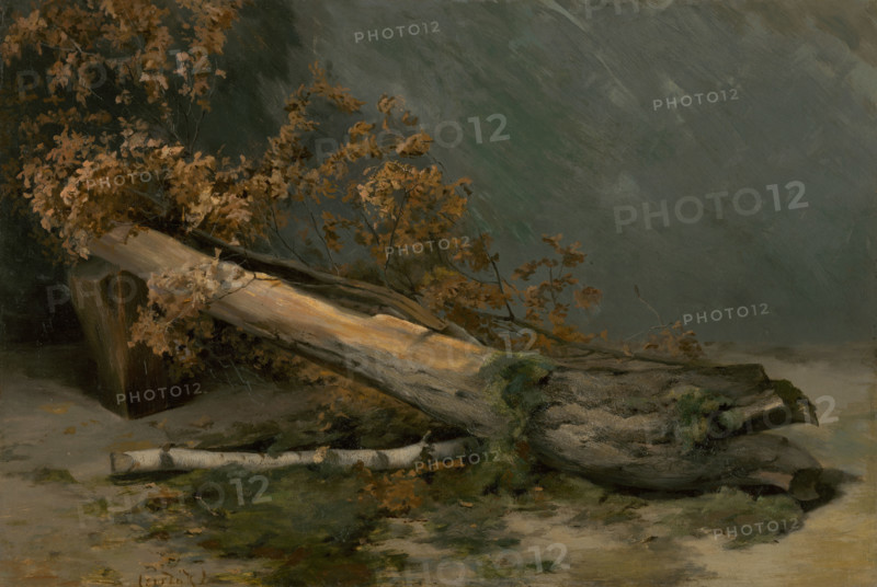 Study of Dry Tree, around 1894-1895. Creator: Ludovit Cordak.