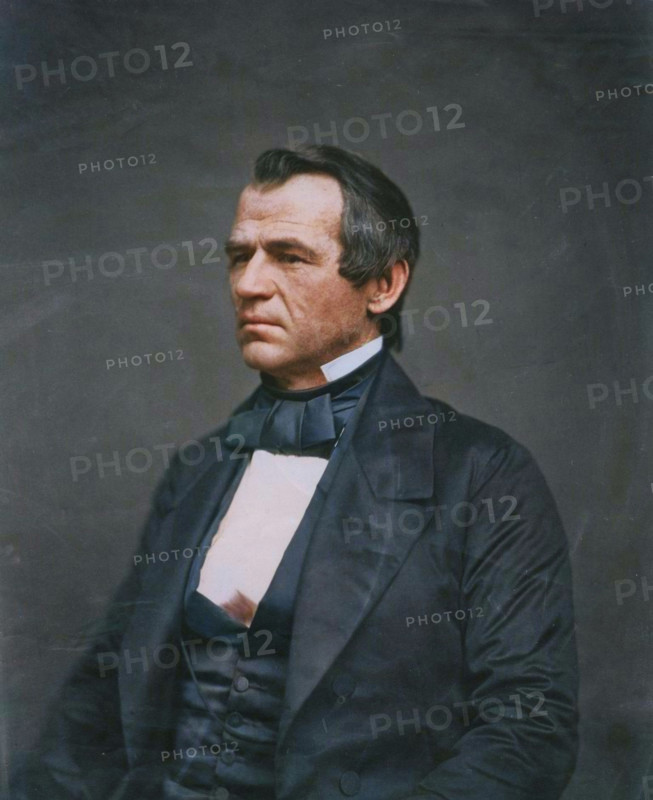 Andrew Johnson, half-length portrait, seated, facing left, 1860. Creator: Jesse Harrison Whitehurst.