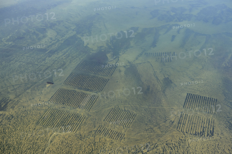 Oyster beds in Whitstable Bay, Kent, 2024. Creator: Damian Grady.