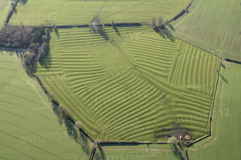 Ridge and furrow earthworks associated with the medieval village of Winwick, West Northants, 2022 Creator: Damian Grady.
