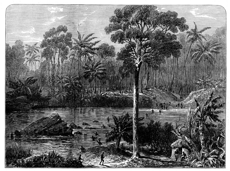Ashantee Sketches: the River Prah and the Forest of Assin, 1873. Creator: Unknown.