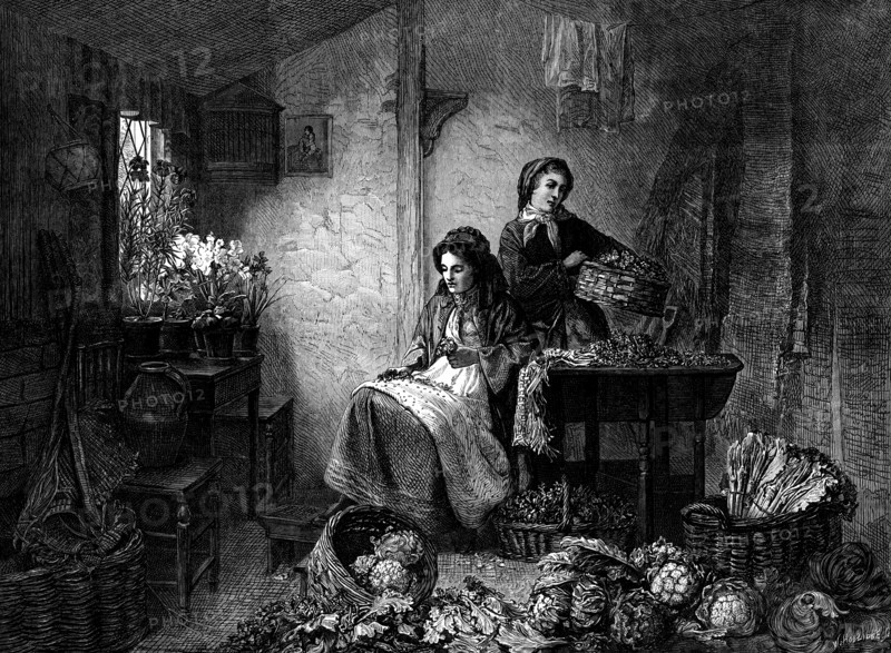 Preparing Spring Flowers for Market, by Messrs. Robinson and Cherrill..., 1873. Creator: William Hollidge.