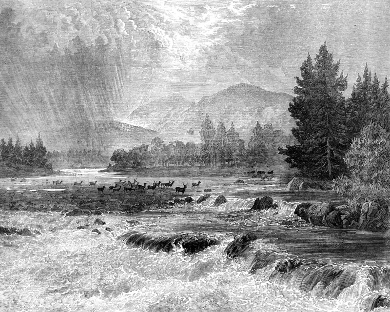 Passing Showers - Forest of Glentanner, Aberdeenshire, by E. A. Waterlow, 1873. Creator: Unknown.