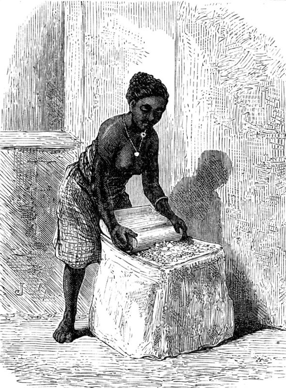 The Gold Coast and Ashantee War: woman grinding corn at Accra, 1873. Creator: Unknown.