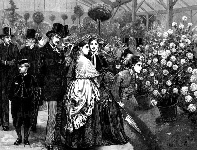A rose show at the Horticultural Society's Gardens, South Kensington, 1873. Creator: Unknown.
