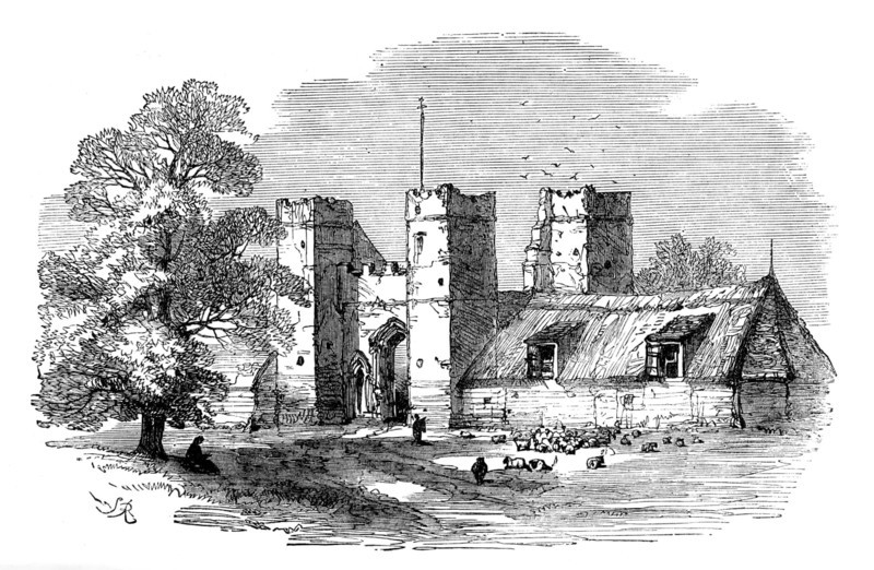 The Isle of Thanet: Daundelion, 1873. Creator: Unknown.