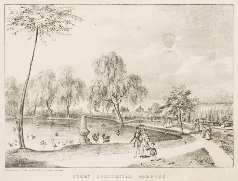 Surry Zoological Gardens, 1836. The Gardens were opened to rival London Zoo, as a way of displaying the menagerie of animal collector Edward Cross to the public.