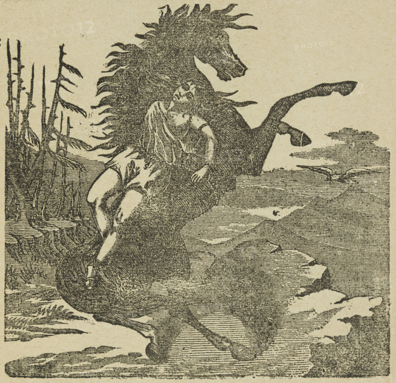 Maude Forrester as Mazeppa at Astley's Theatre, 1882. Illustration from an advertisement for a stage show. Maud Forrester in "Mazeppa or the Wild Horse of Tartary", equestrian act.