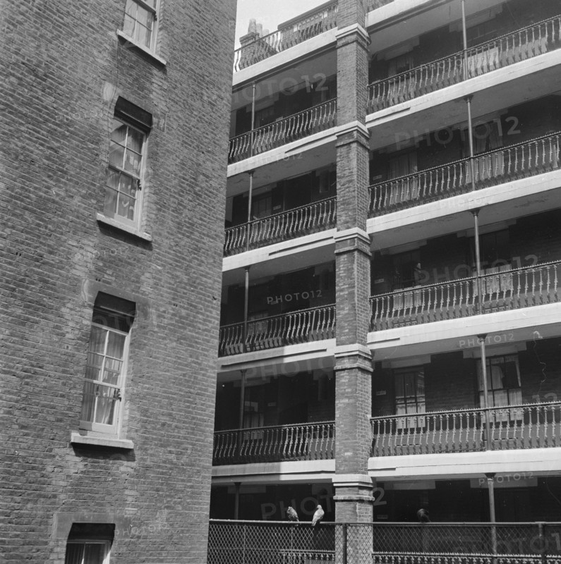 A block of flats with cast-iron railings along its balconies, next to an older brick building with sash windows, in an unidentified area of central London, 1955-1965.