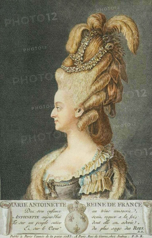 Marie Antoinette, Queen of France, 1783. (Colorised black and white print).
