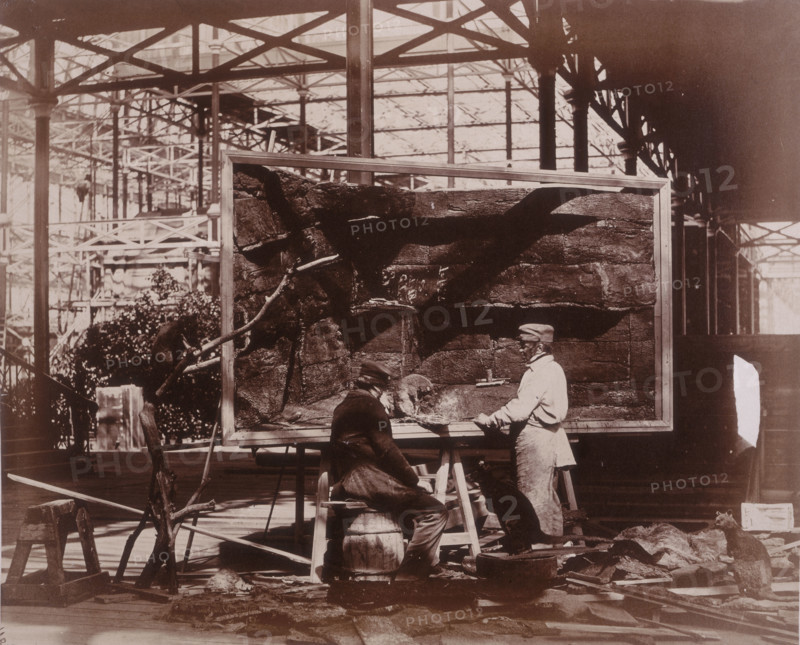 'Preparing Case for Marine Objects', Crystal Palace, Sydenham, 1852-1854. Designed by Sir Joseph Paxton to house the Great Exhibition of 1851 in Hyde Park, the Crystal Palace was reconstructed and enlarged in Sydenham in 1852. The first column was raised on 5 August 1852 and the palace was opened by Queen Victoria on 10 June 1854. Many exhibitions and events were subsequently held at the Crystal Palace until it burnt down on 30 November 1936. The park contained a motor racing circuit from 1937 until 1972 and the famous athletics track dates back to the foundation of the Crystal Palace Athletics Club in 1868. Plate 55 from "Photographic Views of the Progress of the Crystal Palace, Sydenham. Taken during the progress of the works, by desire of the directors, by Philip H Delamotte. Together with a list of the directors and officers of the company, etc". [London, 1855].