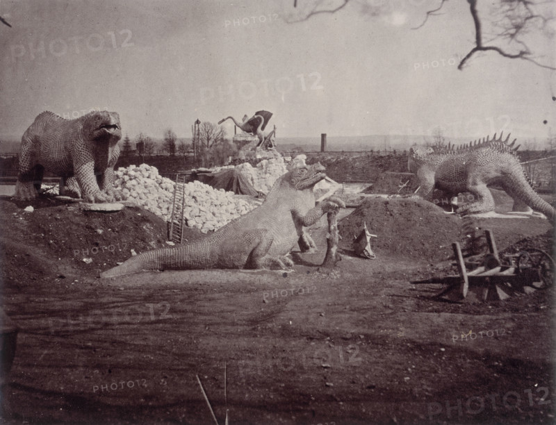 'Models of Extinct Animals', Crystal Palace, Sydenham, 1852-1854. Designed by Sir Joseph Paxton to house the Great Exhibition of 1851 in Hyde Park, the Crystal Palace was reconstructed and enlarged in Sydenham in 1852. The first column was raised on 5 August 1852 and the palace was opened by Queen Victoria on 10 June 1854. Many exhibitions and events were subsequently held at the Crystal Palace until it burnt down on 30 November 1936. The park contained a motor racing circuit from 1937 until 1972 and the famous athletics track dates back to the foundation of the Crystal Palace Athletics Club in 1868. Plate 58 from "Photographic Views of the Progress of the Crystal Palace, Sydenham. Taken during the progress of the works, by desire of the directors, by Philip H Delamotte. Together with a list of the directors and officers of the company, etc". [London, 1855].