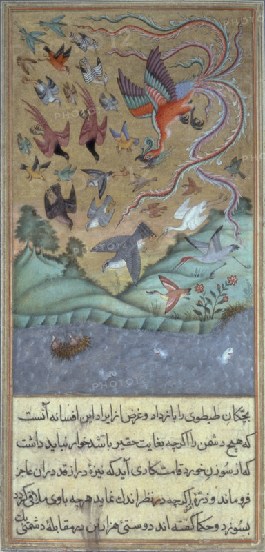 The simurgh leading an army of birds, c1610. The sandpipers sit on their nest on the water while the 'simurgh' leads the army of birds to their rescue. The simurgh is a mythical creature, related to the roc and the phoenix. It lives for up to 2000 years, and may even be immortal. It is said to have a nest in the Tree of Knowledge and is so old that it has seen the destruction of the world three times over. From the "'Anvar-i Suhail i", a modernised version of "Kali lah va Dimnah" by Husain Va'iz Kashifi'.