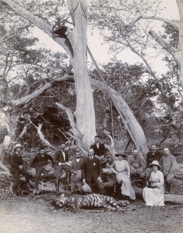 Lord and Lady Curzon and party posing with dead tiger, Nekonda, India, 1902.  George Nathaniel Curzon was a British statesman. As viceroy of India (1898 - 1905), he partitioned Bengal. He was also British Lord Privy Seal during World War I.