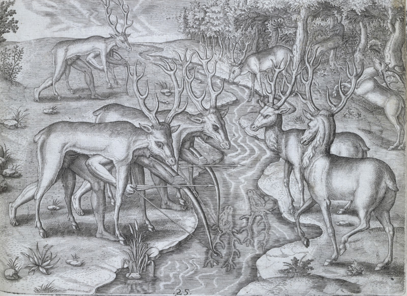 Indians using deer skins to hunt deer, 1591. Plate XXV from "America. Part II.- Latin" by Theodore de Bry. One of de Bry's (1528-1598) most well known works is "Les Grands Voyages, i.e., "The Great Travels", or "The Discovery of America".