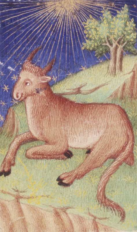 A bull lying down, 1423. Rays from the sun emanate from the top of the image. From the Bedford Hours, executed for the Duke of Bedford.