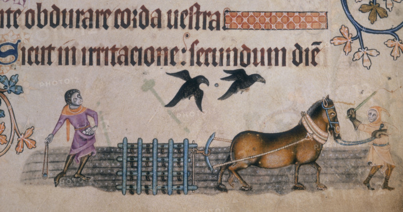 Two farm workers with a harrow, c1300-c1340. The man on the left uses a slingshot to chase away crows. From "The Luttrell Psalter" (Latin), begun before 1340 for Sir Geoffrey Luttrell.