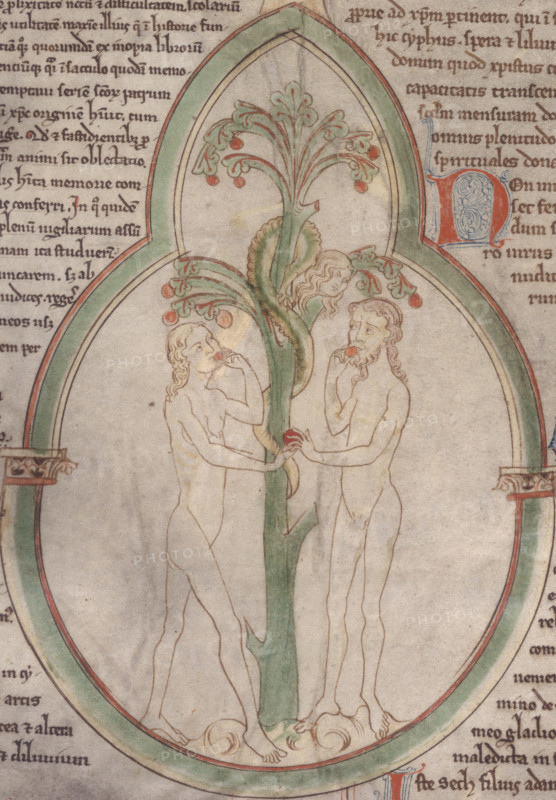 The Temptation of Adam and Eve, c1300. Adam and Eve eat the Forbidden Fruit from the Tree of Knowledge. From "Roll-Chronicle of the genealogy of Christ from Adam".