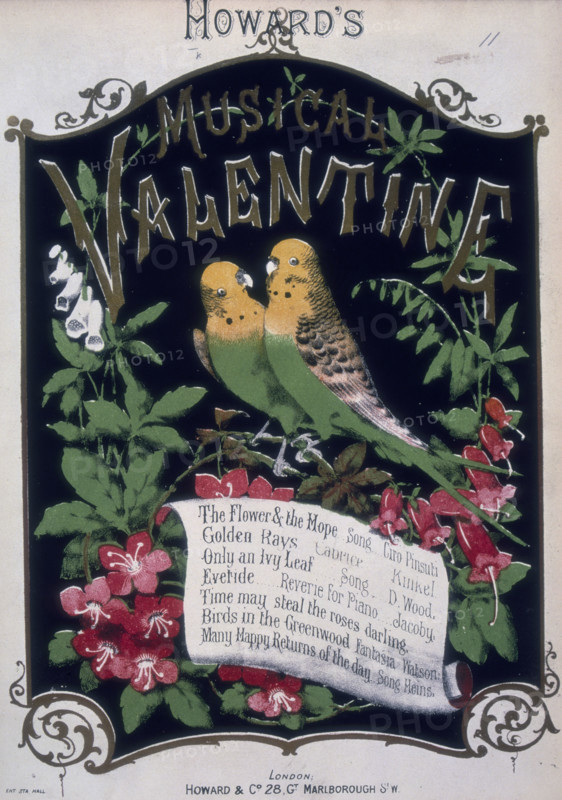 'Howard's Musical Valentine', 1876. Sheet music cover with two budgerigars and a list of the songs. 'The Flower & the Hope. Song. Ciro Pinsuti. Golden Rays - Caprice. Kinkel. Only an Ivy Leaf - Song. D. Wood. Evetide - Reverie for Piano. Jacoby. Time may steal teh roses darling. Birds in the Greenwood, Fantasia - Watson. Many Happy Returns of the day. Song, Heins'.