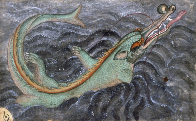 Indian crocodile or gharial, 1590. Gavialus gangeticus, a type of fish-eating Indian crocodile.