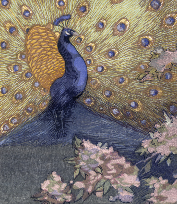 Peacock displaying its tail; scene from "The Jungle Book", 1919. From a French translation of "The Jungle Book" by Rudyard Kipling.