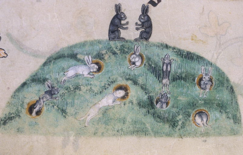 A rabbit warren, c1300-c1340. Two rabbits sit on top of the warren. Below them rabbits hop from hole to hole. From the Luttrell Psalter.