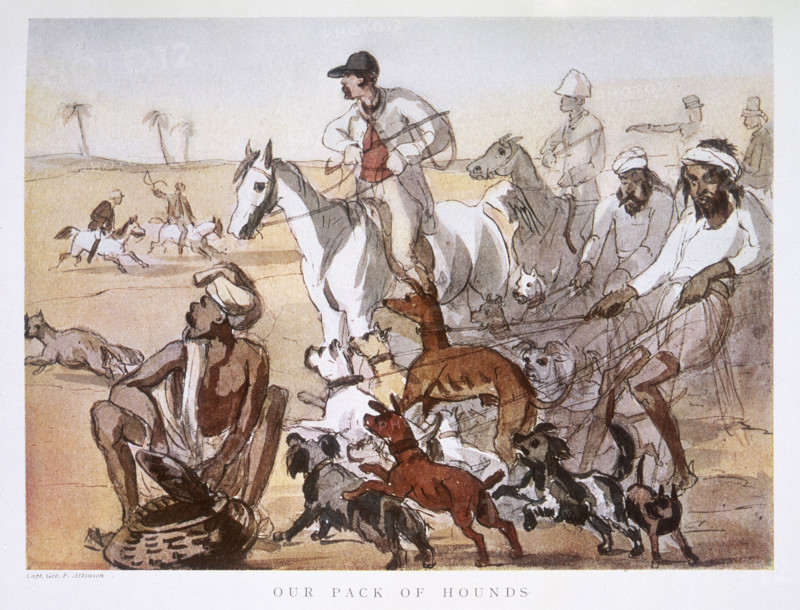 'Our Pack of Hounds', 1911. Two Indian servants struggle to keep hold of a pack of dogs of all sizes, who are straining at their leashes to join in. From "Curry & Rice", a collection of watercolours taking a satirical look at British colonial life in India.