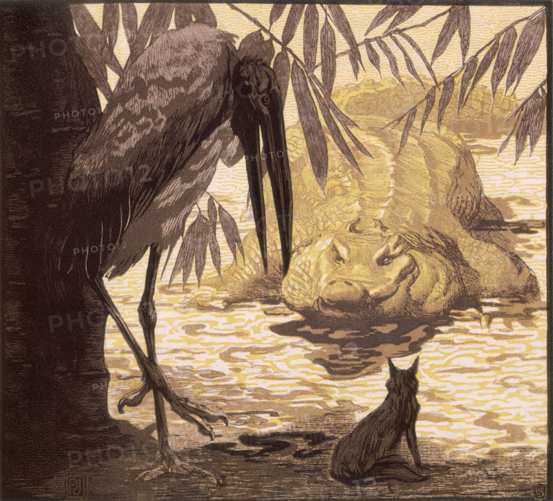 Crocodile, wolf and stork; scene from "The Jungle Book", 1919. From a French translation of "The Jungle Book" by Rudyard Kipling.