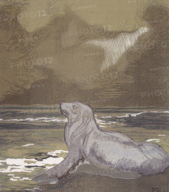 A white seal by the water; scene from "The Jungle Book", 1919. From a French translation of "The Jungle Book" by Rudyard Kipling.