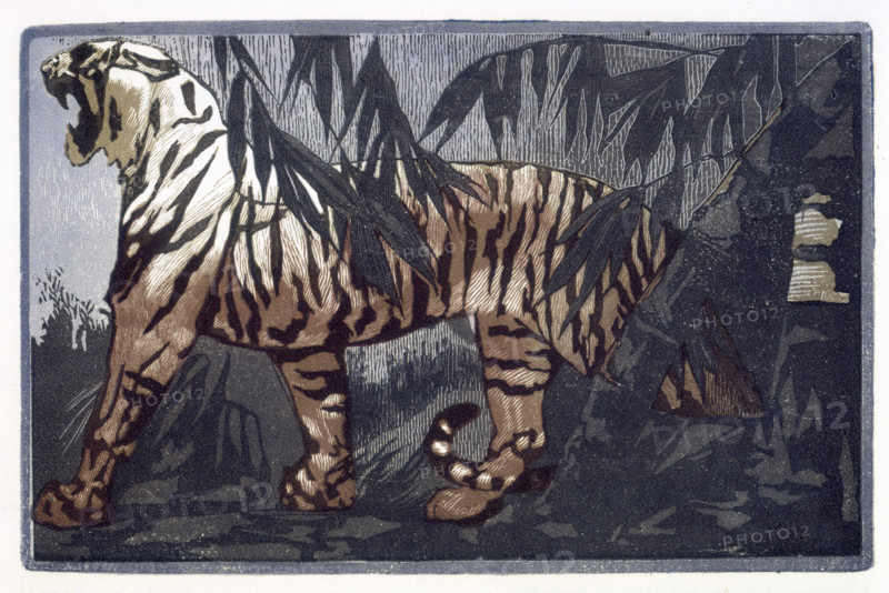 Tiger; scene from "The Jungle Book", 1919. From a French translation of "The Jungle Book" by Rudyard Kipling.