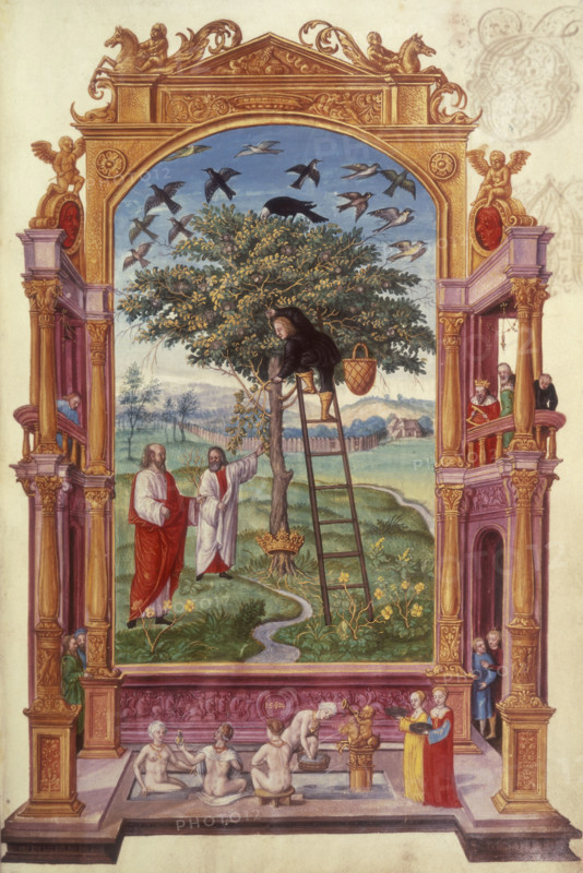 Illustration of the Other Parable, 1582. A man climbs a ladder leaning against a golden fruit tree with a crown encircling its root. The scene takes place within an ornate frame, and in the foreground are women bathing, apparently watched from a balcony above by a king and others. From "Splendor solis" (The splendour of the sun).