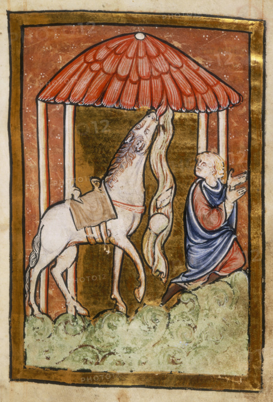 Cuthbert's horse pulls down bread and meat, last quarter of the 12th century. St Cuthbert's horse pulls food, miraculously provided, from the straw roof of a shepherd's hut during the journey to Melrose. From Bede's Life of St. Cuthbert.