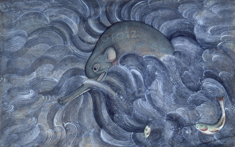 Aquatic beast, 1590. Water-creature with a trunk, possibly a kind of river elephant.