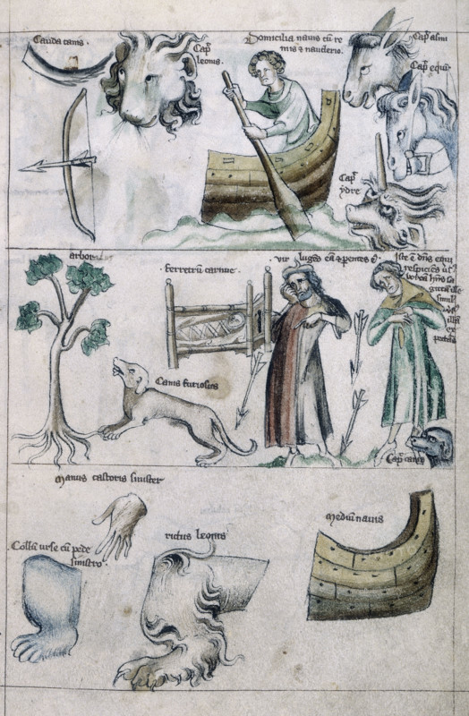Leo, 14th century. A tail; a bow and arrow; heads of a lion, a donkey, a horse and a creature with a horn; a man rowing a boat; a tree; a swaddled (possbly dead?) child; two men - one of them mourning - and arrows; a mad dog; a left hand; left paw of a bear; paw of a lion; and part of a ship. From "Tractatus Astronomicus": a treatise on astrology.