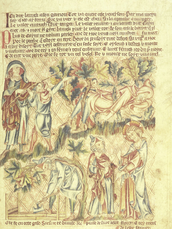 Lamech kills his son, and Noah is warned of the flood, c1320-1330. Old Testament scenes. Above left: Lamech beats his son to death with his bow, after Lamech has returned from the thicket where he found Cain, (above right), lying pierced by an arrow. Cain had been cutting firewood by improperly mutilating a living oak; his billhook lies on the ground. Below left: Noah uses an adze to build the Ark. Below right: God warns him of the flood. From the Holkham Bible Picture Book, biblical and apocryphal stories in Norman French.