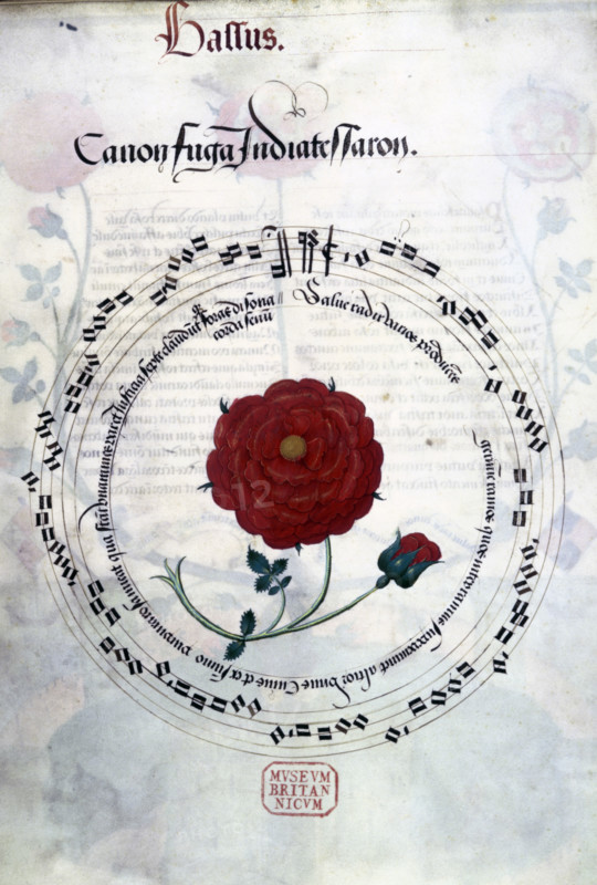Musical canon with Tudor rose, c1509-c1547. Under Henry VII, the Tudor rose became a potent national symbol, as is reflected in the design of this musical canon in honour of Henry VIII and celebrating the union of the Houses of York and Lancaster. The Crowned Rose Motets, decorated sheet music with voice parts for a choir, was presented to King Henry VIII. The canon is in two parts, for two bassus and two contratenor voices. The bass part is shown here in circular text surrounding a red rose.