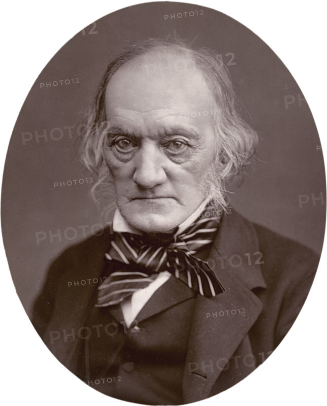 Richard Owen, 1878. After qualifying and practicing as a surgeon, Owen made major contributions in the fields of anatomy and paleontology. He was responsible for first coining the word dinosaur in 1841. Owen was opposed to Darwin's theories, believing that natural selection was insufficient to explain evolution. In 1856 he became superintendent of natural history at the British Museum and planned the new Natural History Museum which was established in South Kensington.