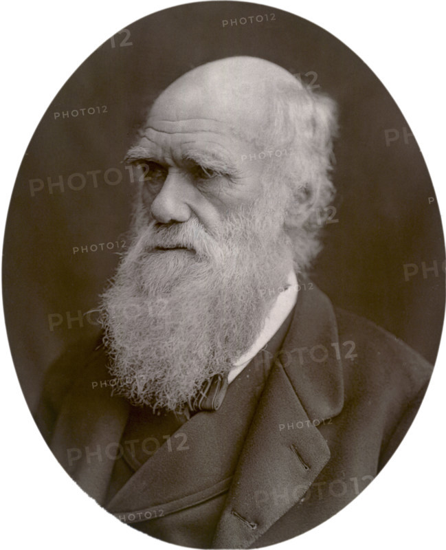 Charles Darwin, 1878. Darwin started his career on board the HMS 'Beagle' and spent six years surveying the South American seas. He is remembered for his momentous contributions to biology and as the originator of the theory of evolution. His most famous work, "The Origin of the Species by Means of Natural Selection", was published in 1859.