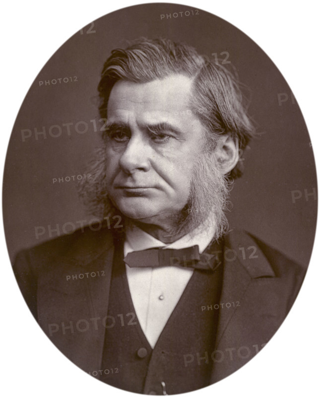 Professor Thomas Henry Huxley, 1880. Between the years 1847-1850 Huxley was the assistant surgeon aboard HMS Rattlesnake off the eastern and northern coasts of Australia. In 1855 he was appointed Professor of Natural History at the Royal School of Mines, and was an authority in the study of fossils, particularly fish and reptiles. He was a supporter of Darwinism, and was in direct opposition to Richard Owen. His work "Man's Place in Nature", which was published in 1863, caused much interest in Europe and America. It was Huxley who devised the word agnostic, to describe his religious beliefs.