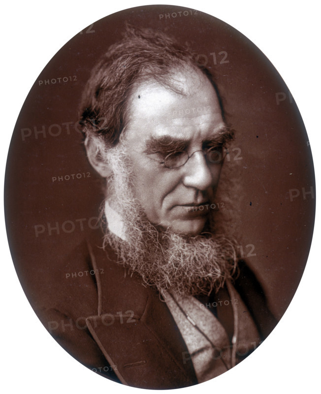 Sir Joseph Dalton Hooker, Director of Royal Gardens at Kew, 1881. Hooker (1817-1911) was a botanist and plant collector who travelled on several scientific expeditions in the 1840s, including a three year trip to the Himalayas in 1848-1850. He brought back 7000 specimens from the expedition. Amongst these were 25 new species of rhododendron, half as many again as were then known, leading to something of a rhododendron craze amongst British gardeners. In 1855 Hooker became Assistant Director at Kew, and took over the post of Director from his father, Sir William Hooker, in 1865.